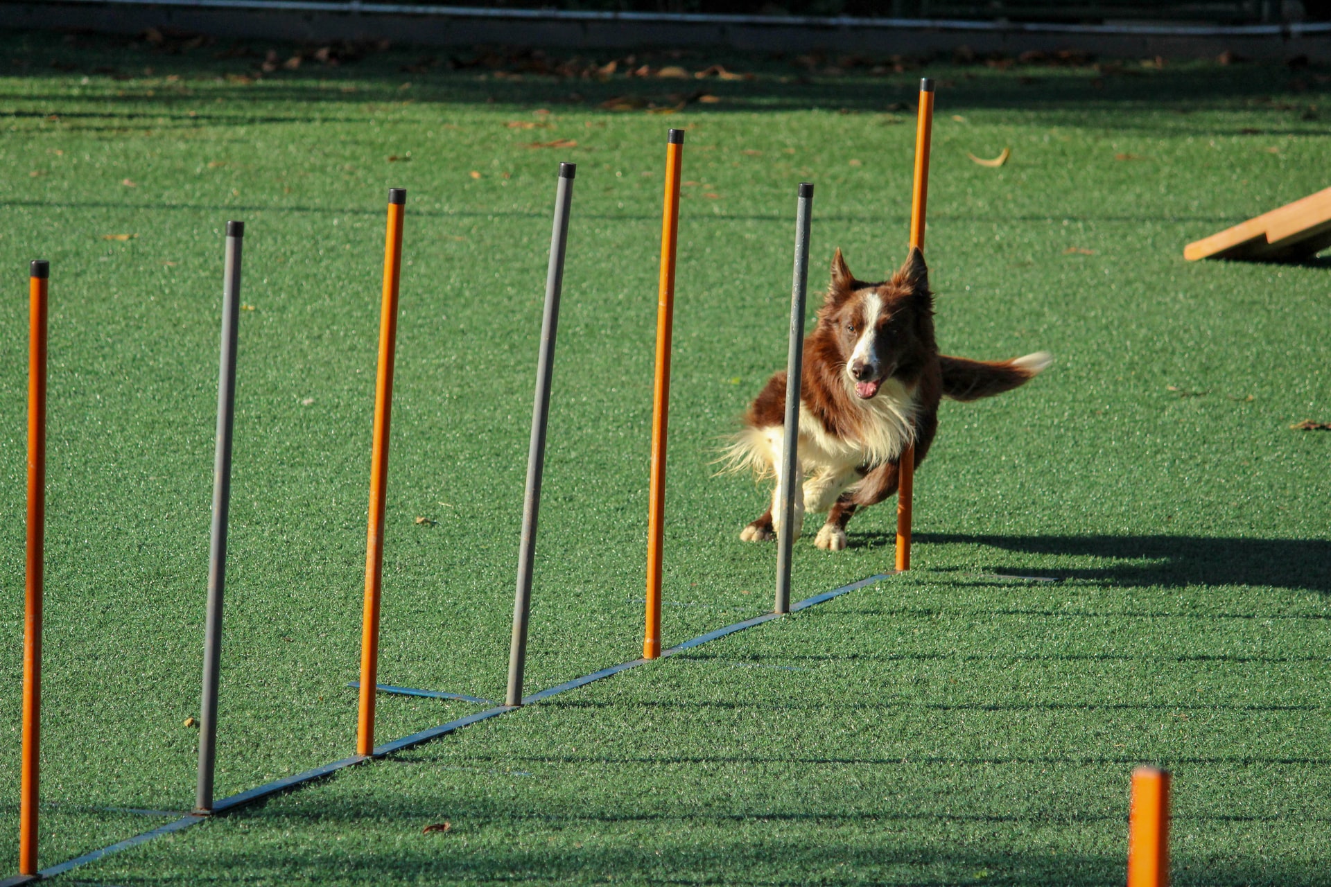 training